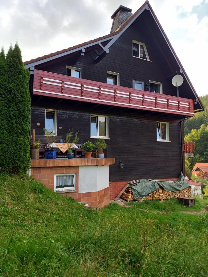 Monteur- Und Waldrauschen Fehrenbach