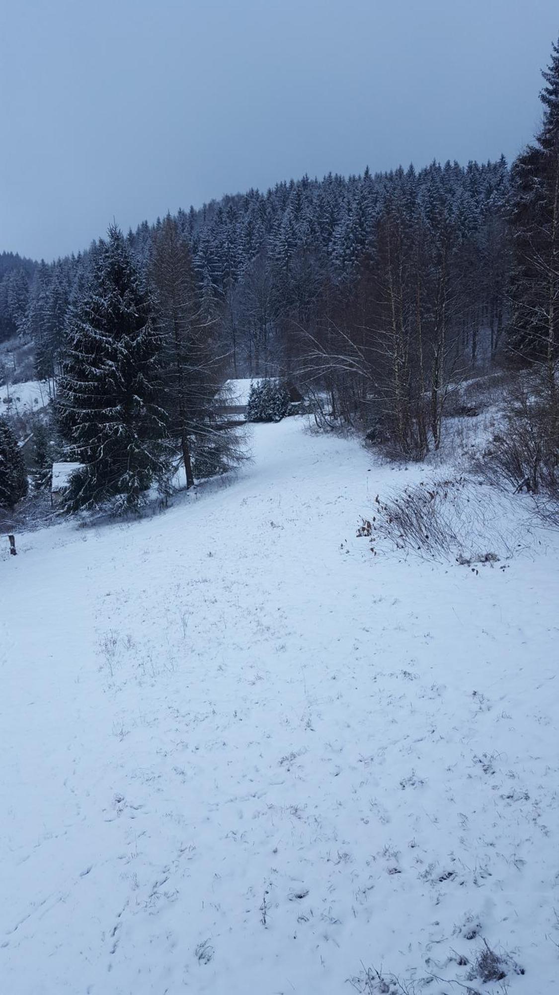 Monteur- Und Waldrauschen *