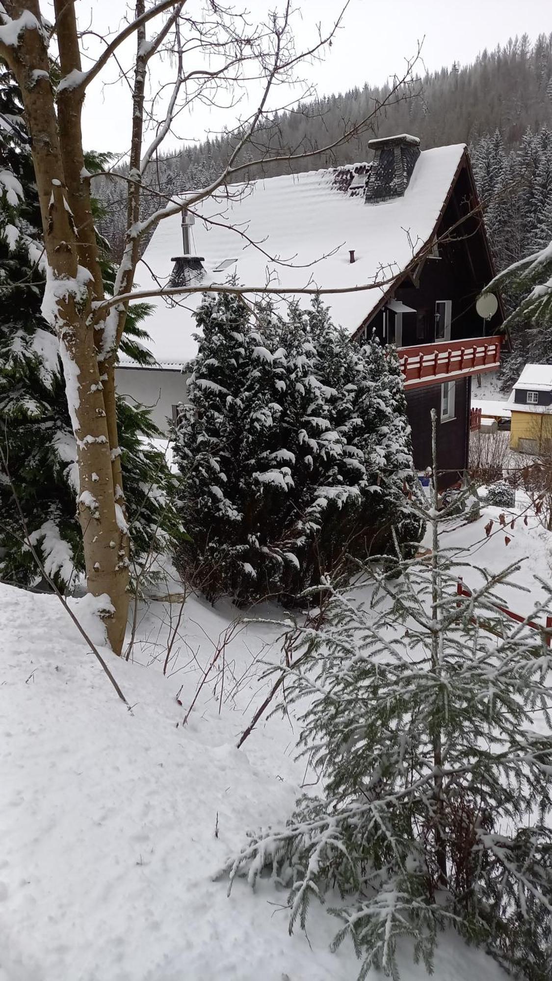 Monteur- Und Waldrauschen