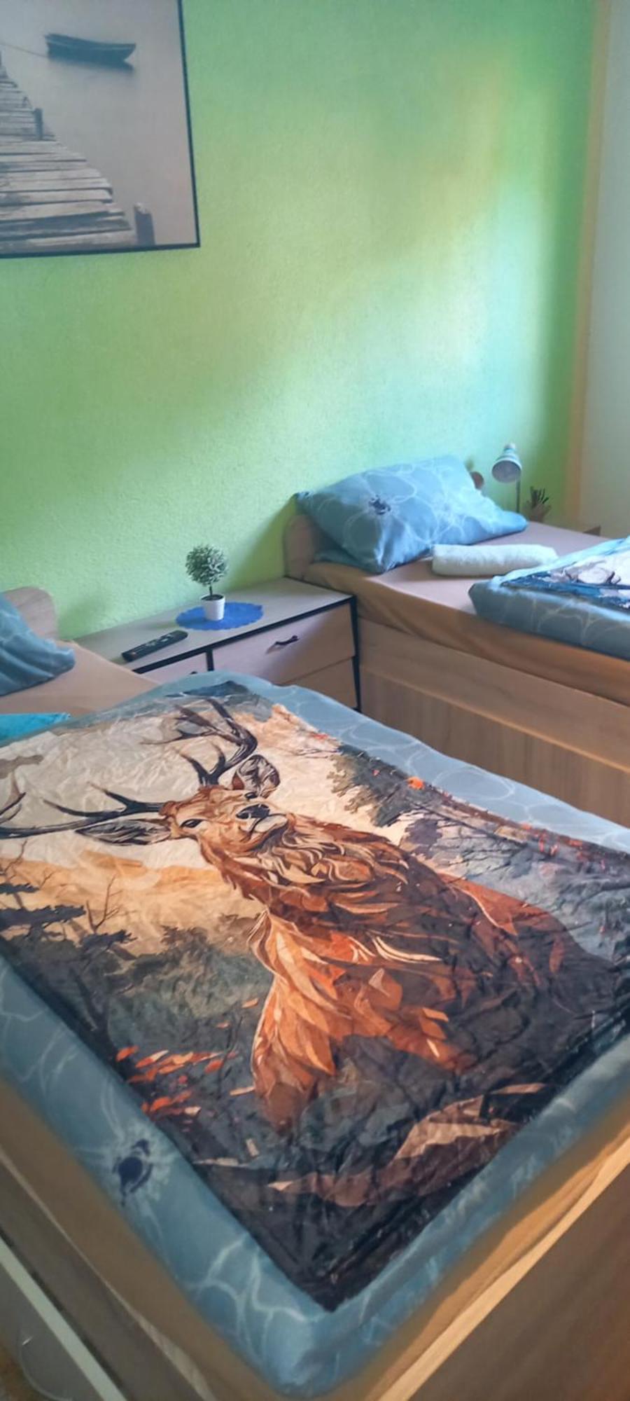 Apartment Monteur- Und Waldrauschen Fehrenbach