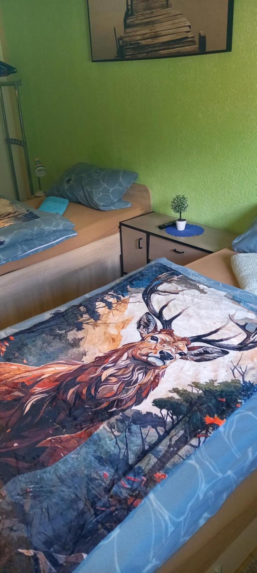 Apartment Monteur- Und Waldrauschen Fehrenbach