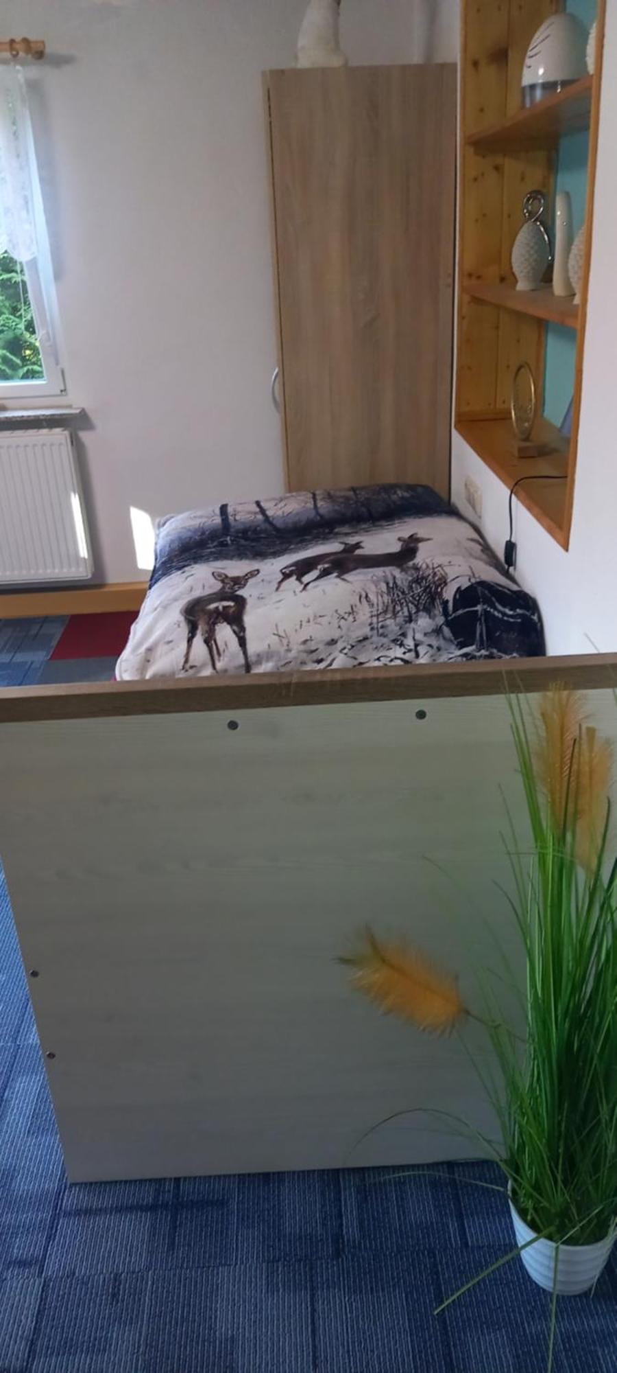 Monteur- Und Waldrauschen Apartment