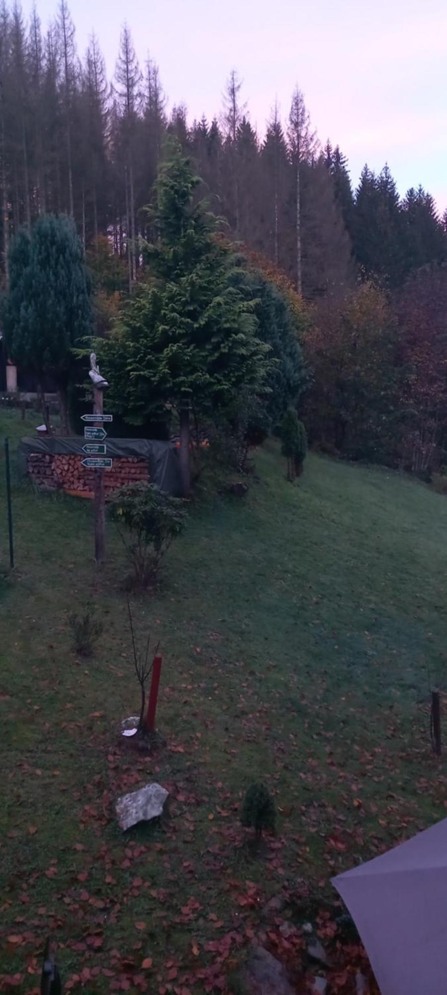 Monteur- Und Waldrauschen *